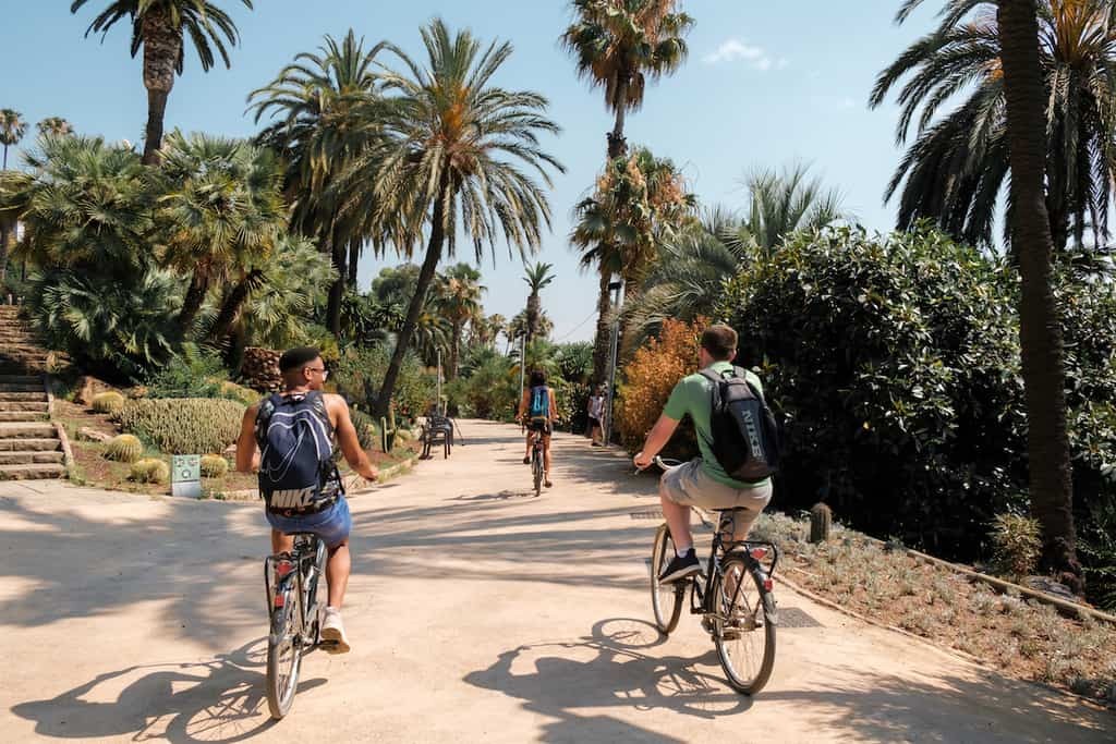 7 Interesting Things About Cycling on Every Trip