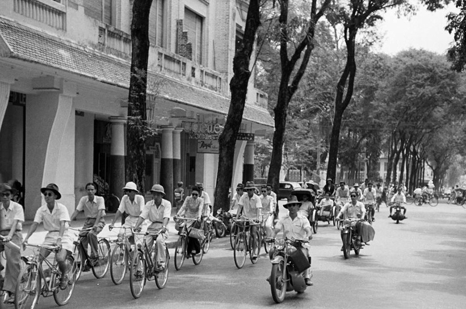 Spring 2025: Reflecting on the Enduring Vitality of the Bicycle